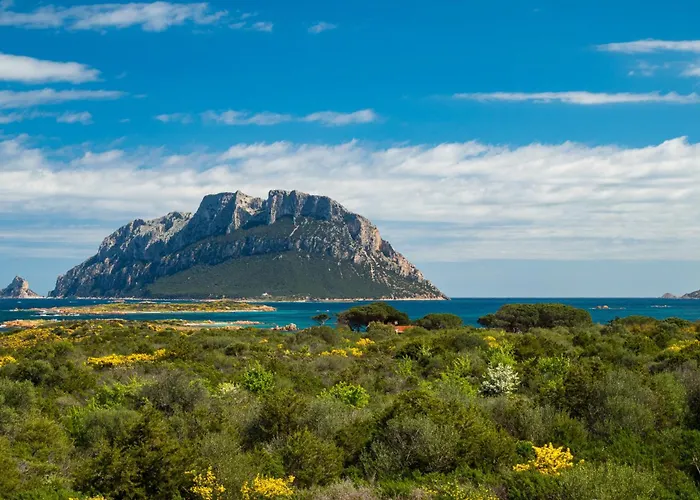 Il Poggio 8 - Klodge アパート *